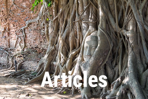 Buddha head in roots of banyan tree in Ayutthaya